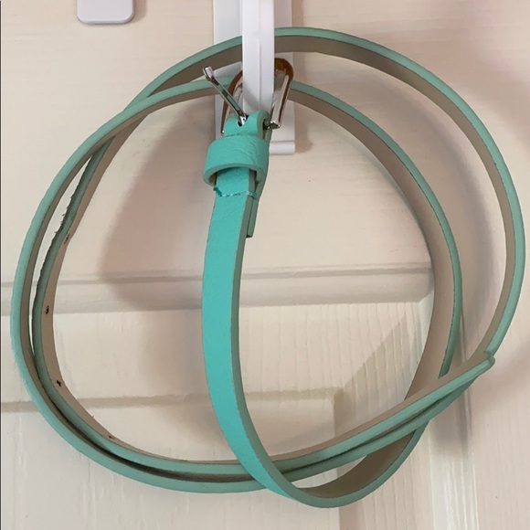 Skinny Belt - Picture 1 of 4